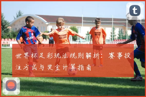 世界杯足彩玩法规则解析：赛事投注方式与奖金计算指南