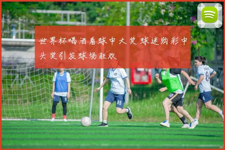 世界杯喝酒看球中大奖 球迷购彩中头奖引发球场狂欢